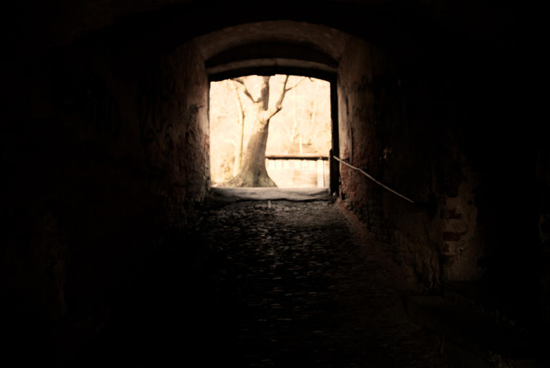 rootless tree by sigurka on DeviantArt