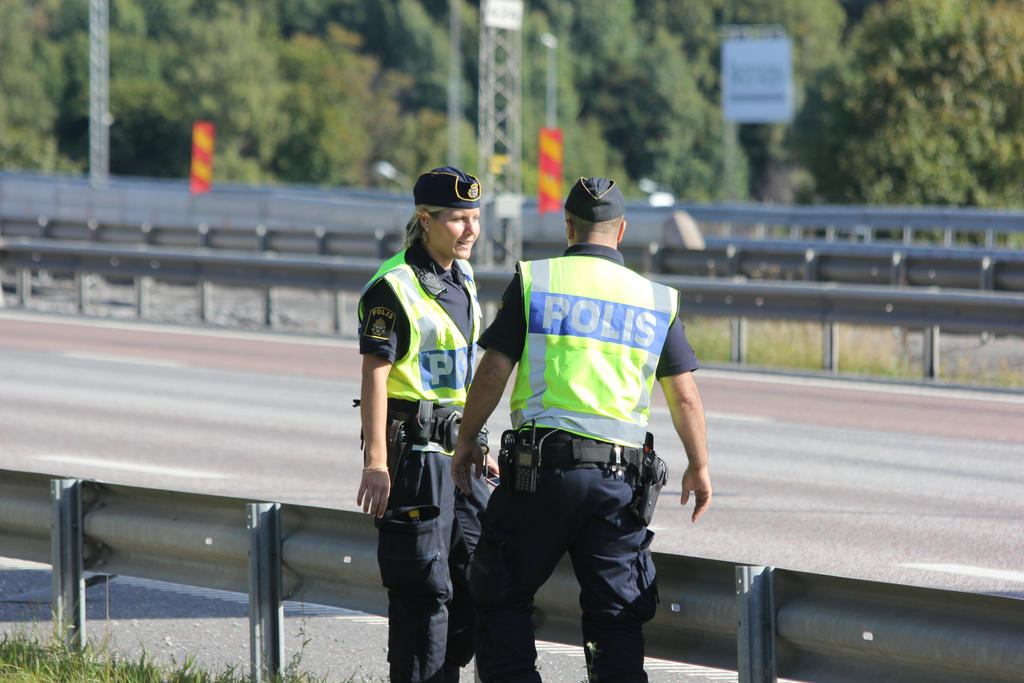 Полиция дании Полиция дании