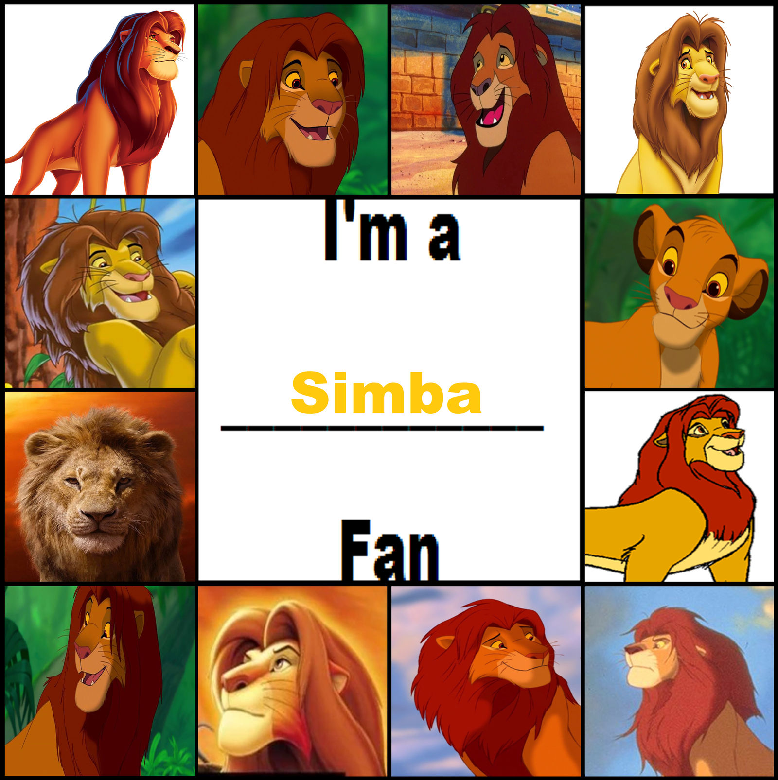 I'm a Simba Fan by aaronhardy523 on DeviantArt