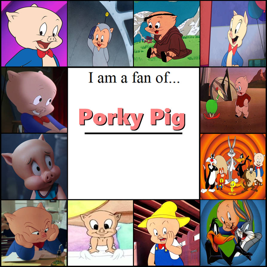 I'm a Porky Pig Fan by aaronhardy523 on DeviantArt