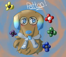 Patton As A Golden Retriever