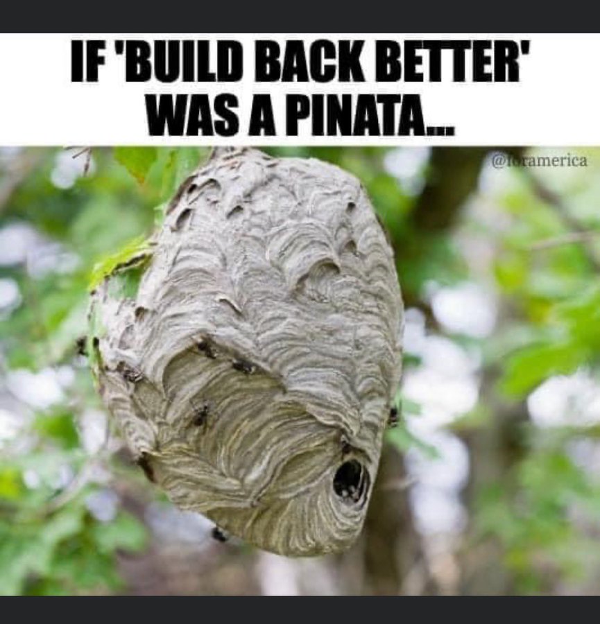 Build Back Better Meme by Longtimerecovery on DeviantArt