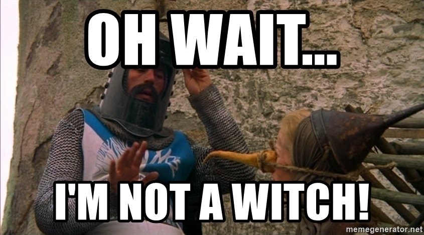 Monty Python witch meme by Longtimerecovery on DeviantArt