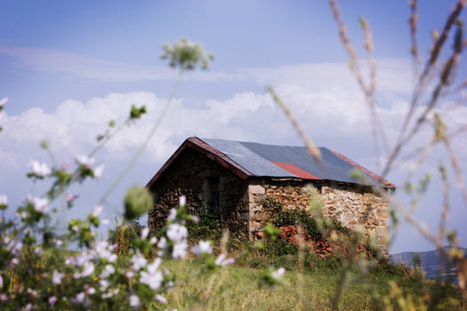 Auvergne