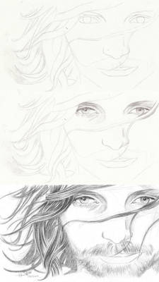 Aragorn - step by step