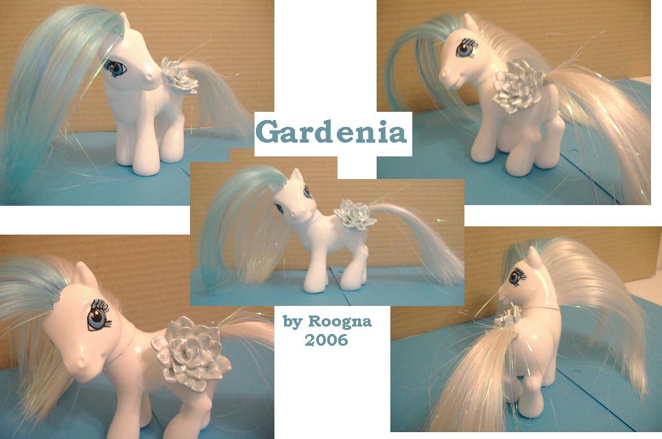 Gardenia Custom