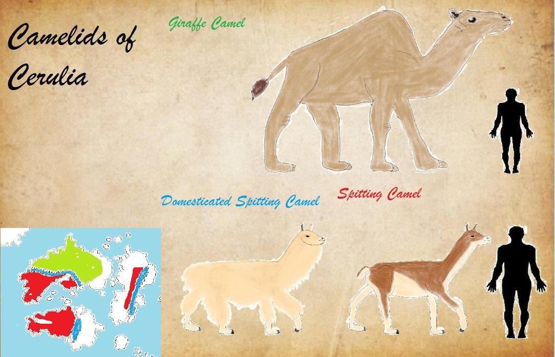 Cmelids Camelids of Cerulia by ottergod96 on DeviantArt