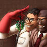 Mistletoe (TF2)