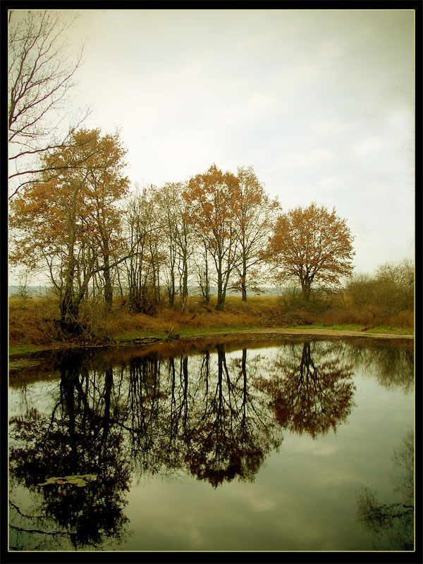 Reflection