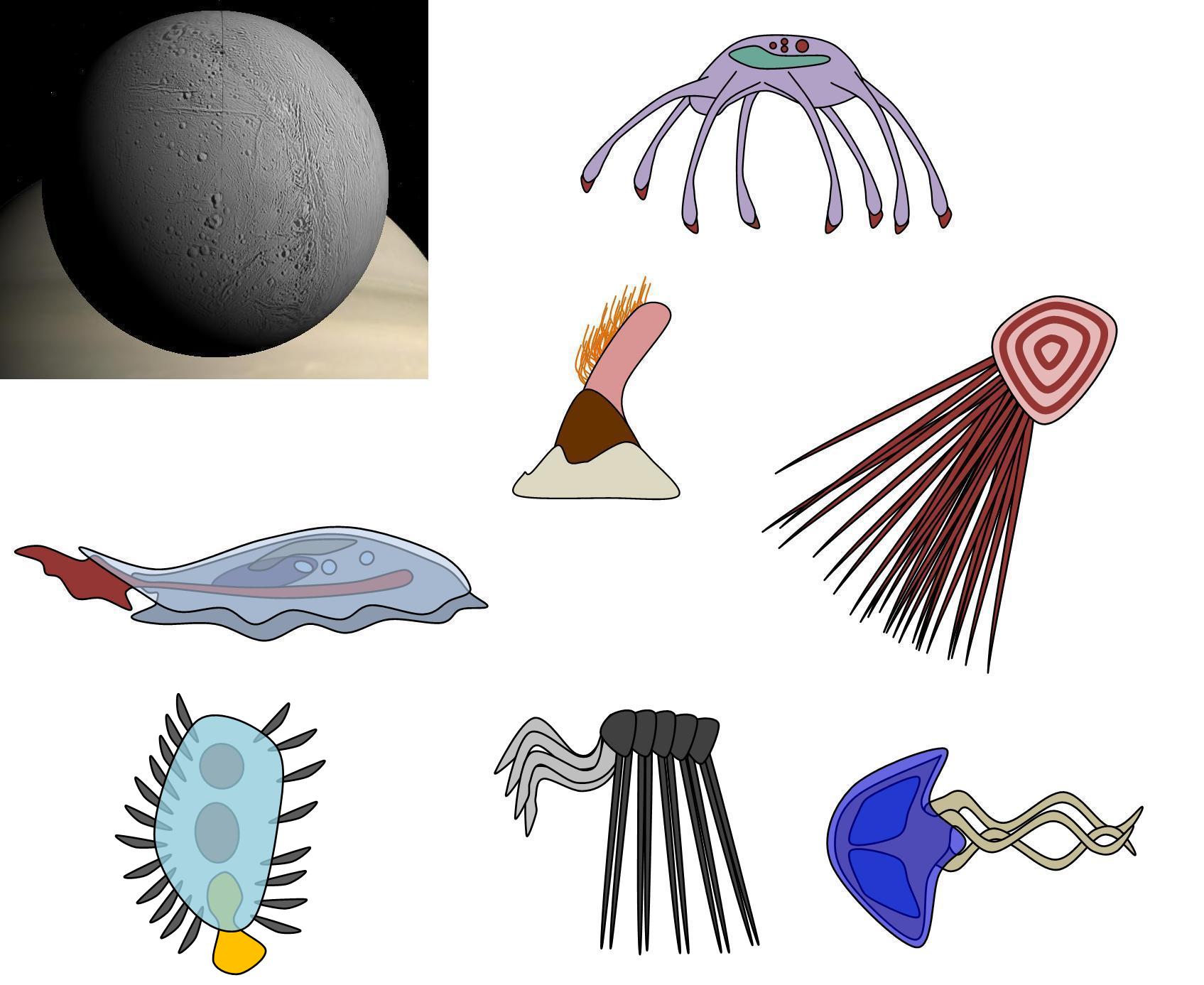 Dragonthunders Alien The extraterrestrial of the future is far:Encelado by Dragonthunders on ...