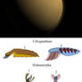 Xeno-Neophytes - Expanded Universe by Risen-From-The-Ruins on DeviantArt