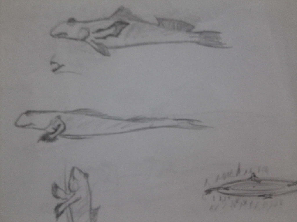 Fish Wip Walking-fish WIP by Dragonthunders on DeviantArt