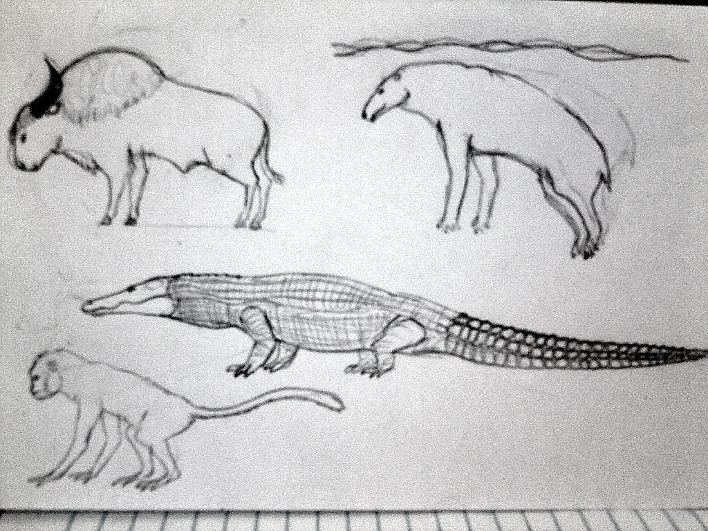 creatures of the future is far, pre-12 mya by Dragonthunders on DeviantArt