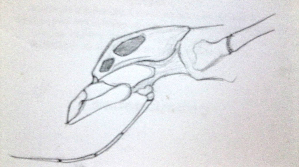 Martian insect by Dragonthunders on DeviantArt