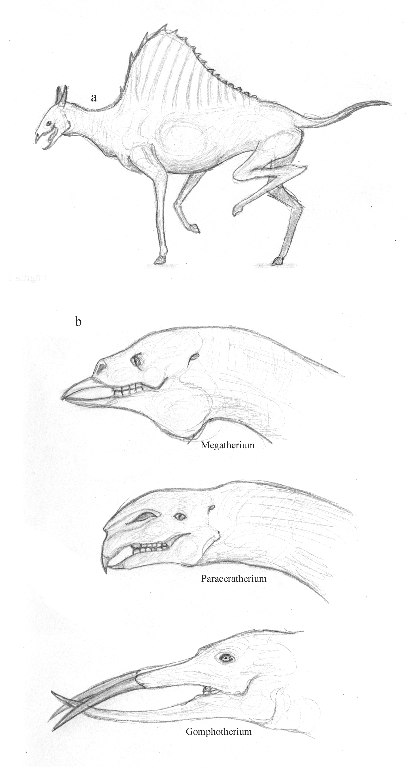 Dragonthunders Alien All Todays sketches by Dragonthunders on DeviantArt