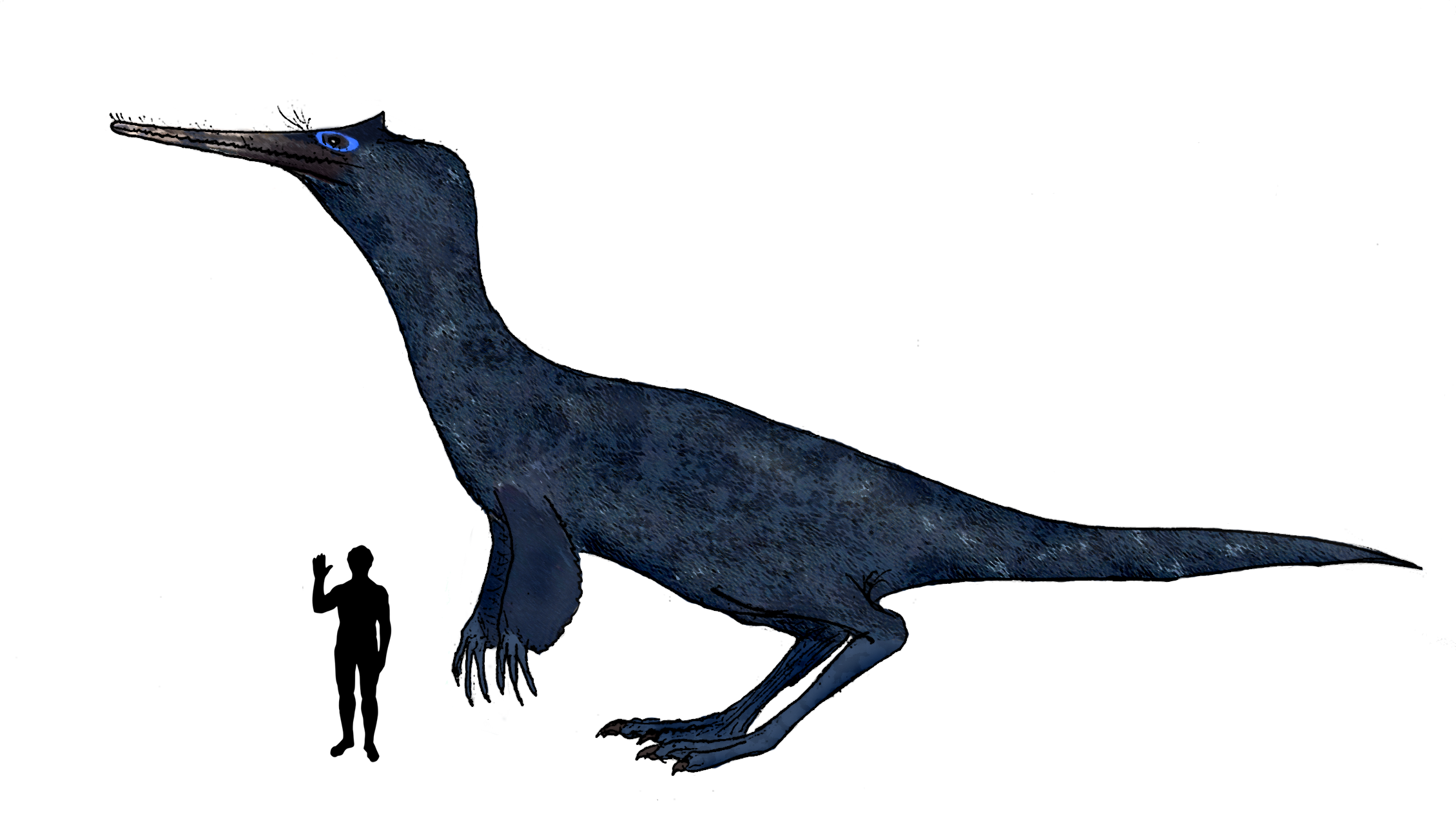 My better fake theropod from water