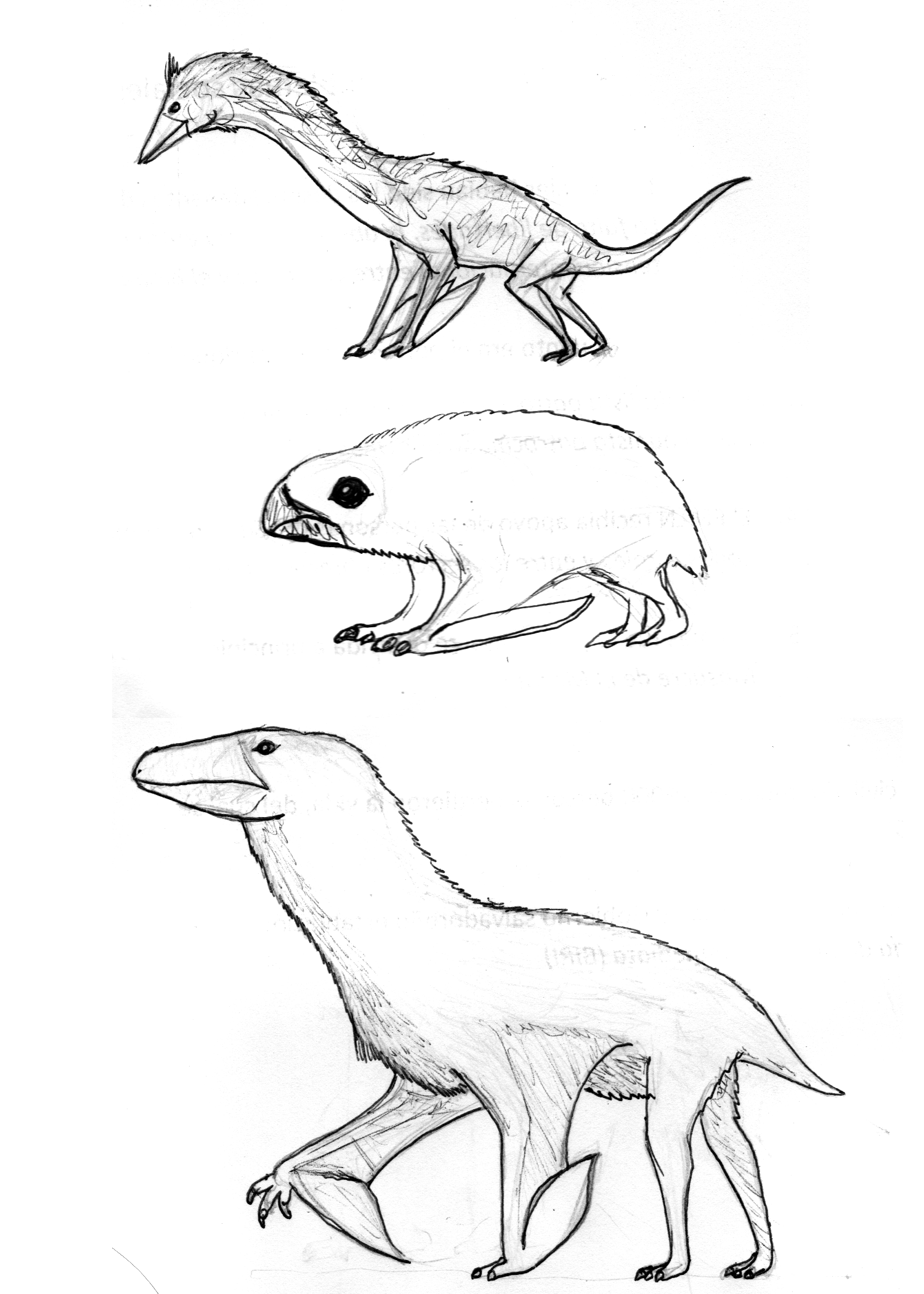 Apterodactila Concepts