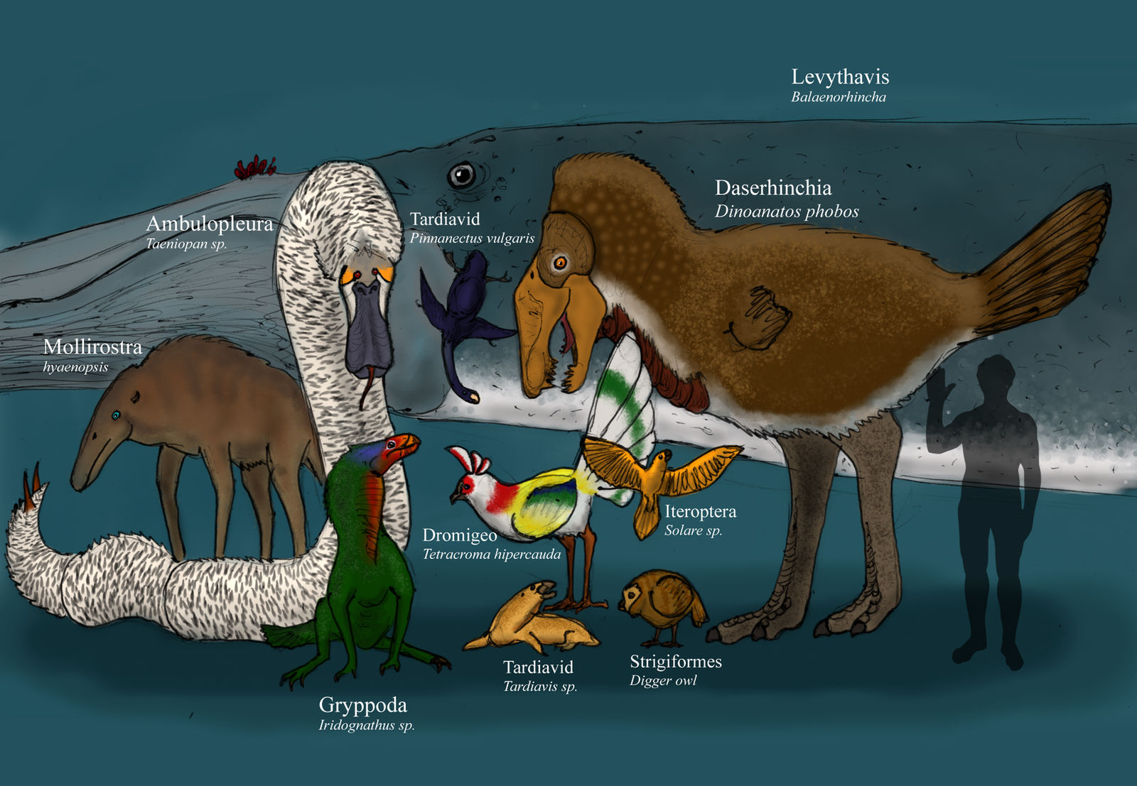 Bird Evolution Deviantart The Future is Far: The Birds by Dragonthunders on DeviantArt