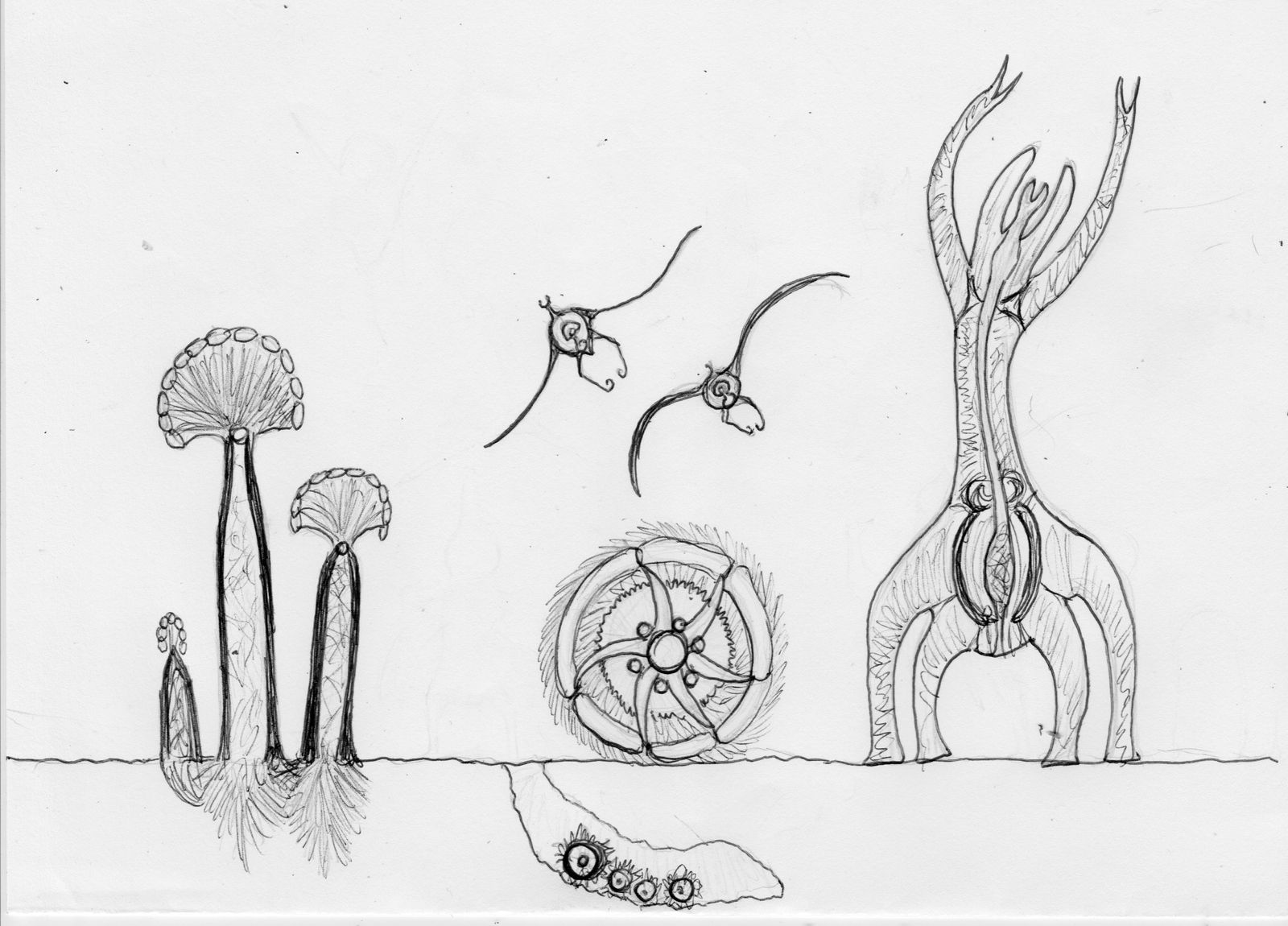Multidimensional Life Form The 2 dimensional life by Dragonthunders on DeviantArt