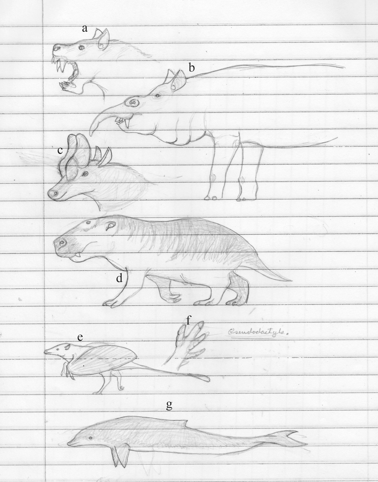Some future mammals by Dragonthunders on DeviantArt