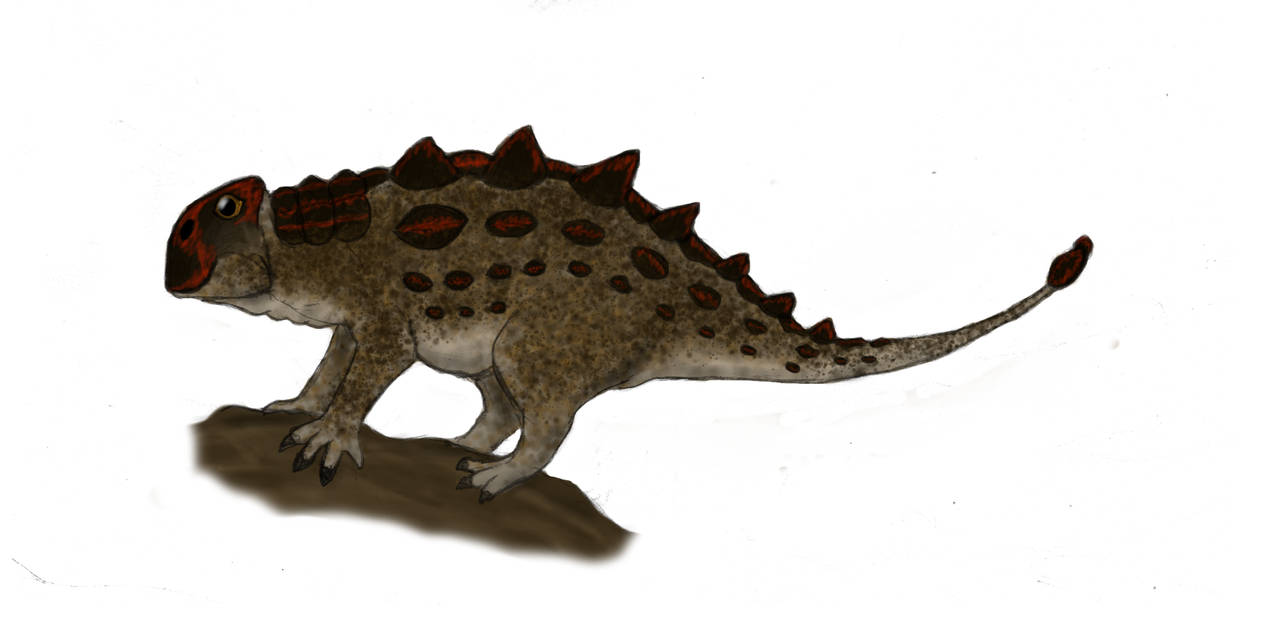 Drop turtle by Dragonthunders on DeviantArt