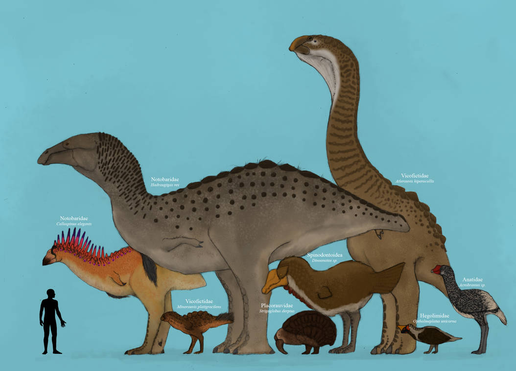 Dragonthunders Alien TFiF: The Distant Anatids by Dragonthunders on DeviantArt