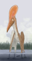 Wading pterosaur