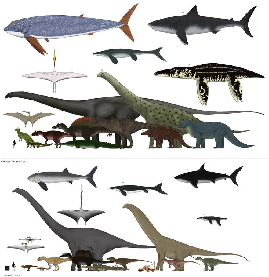 Сравнение динозавров. Мозазавр динозавр. Prehistoric Kingdom Мозазавр. Лиоплевродон мир Юрского периода. Лиоплевродон размер и МЕГАЛОДОН.