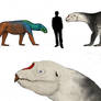 All todays, Elephant seal the titan carnivora