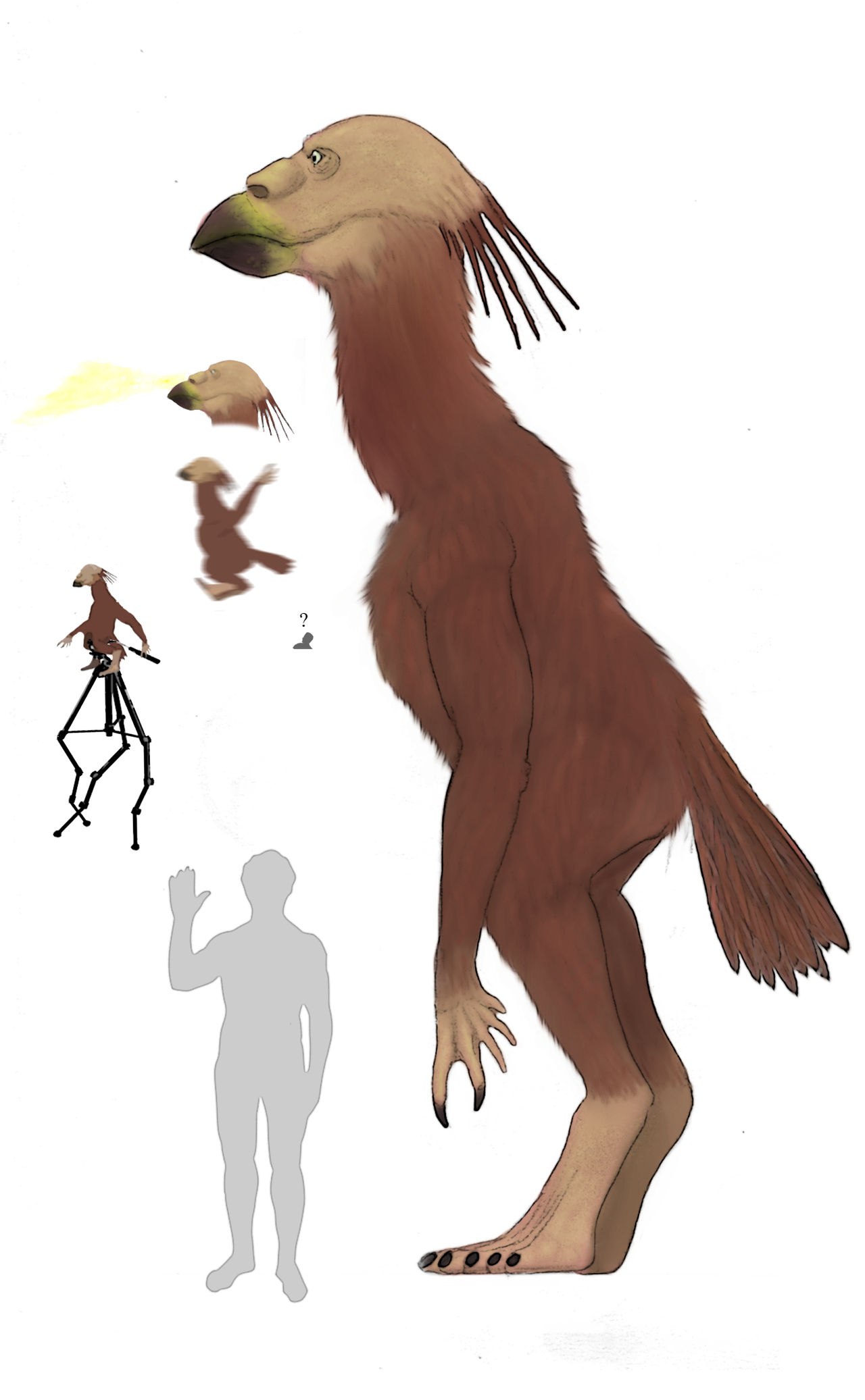 Dragonthunders Alien Carahumankiller by Dragonthunders on DeviantArt