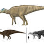 The Shandong giant, Shantungosaurus