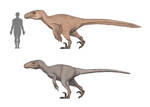 The thieft that is higher up, Utahraptor