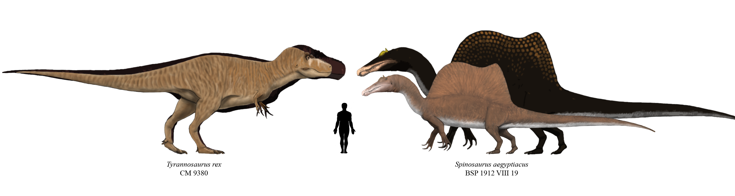 Dragonthunders Alien The specimens that started them all... by Dragonthunders on DeviantArt