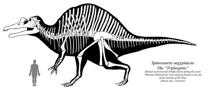 Cursed Paleo: the Triplospino skeletal