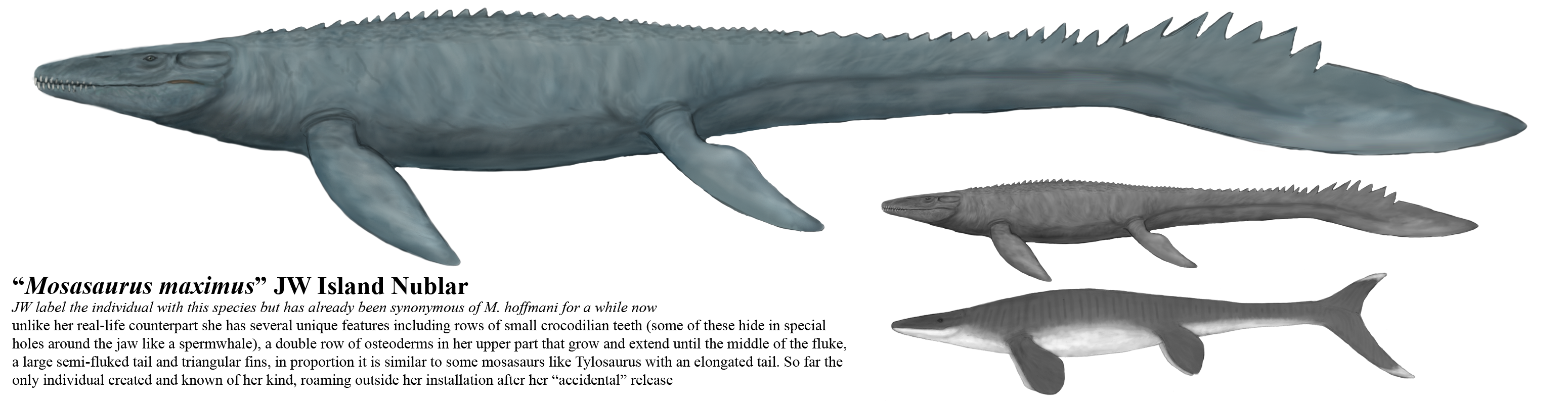 Mosasaurus Size mosasaurus-size