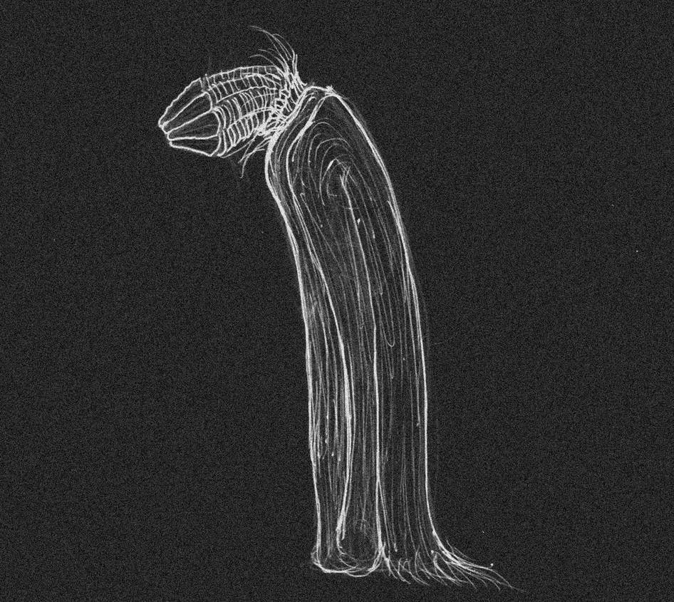 Dragonthunders Alien Alien Space Bat by Dragonthunders on DeviantArt