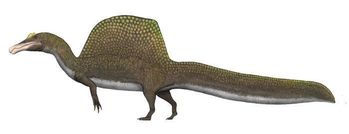 Spinosaurus aegyptiacus v4