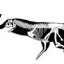 Carnofaarus skeleton