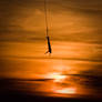 Sunset Bungee