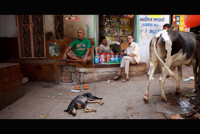 Streetlife of India 001