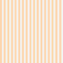 4: Pastel Orange Custom Box Background