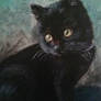 Pip