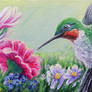 Humming bird Painting