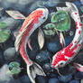 Koi Fish Painting