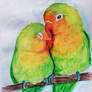 Love Birds 2020
