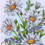 Daisy Watercolor Painting