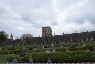 Abbey of Saint Martin in Donzy Le Pre