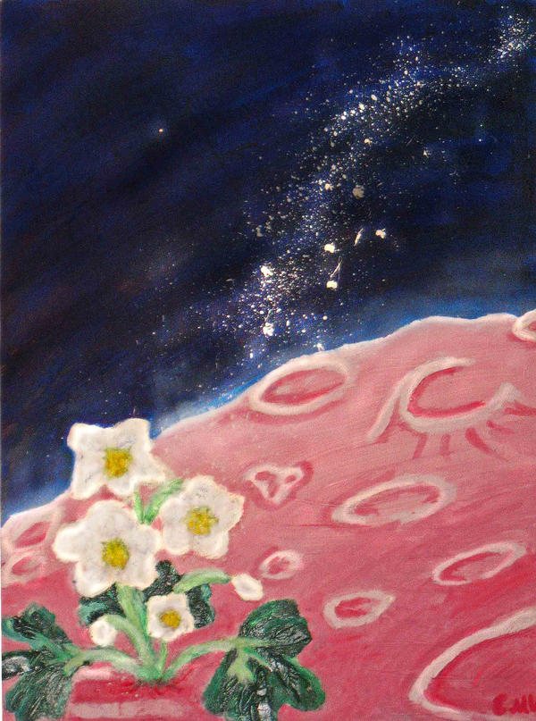 Moon Flower