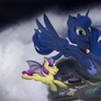 Flight Night (Commission)