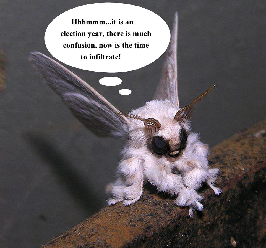 The Invaders by PhiSchmo on DeviantArt